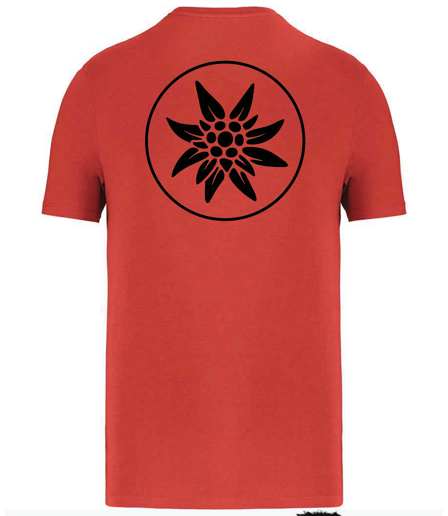 AAC UK Adult T-Shirt