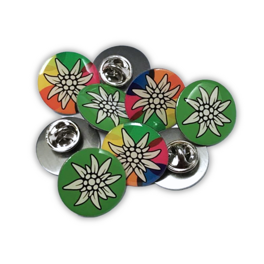 Alpenverein `Jugend'  Rainbow Enamel Pin Badge